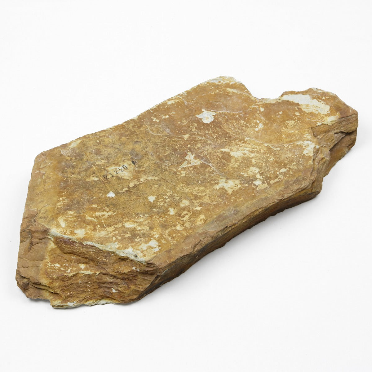"OKUDO", Tennen Toishi (Japanese Natural Whetstone). Ground layer "SUITA" 2823g