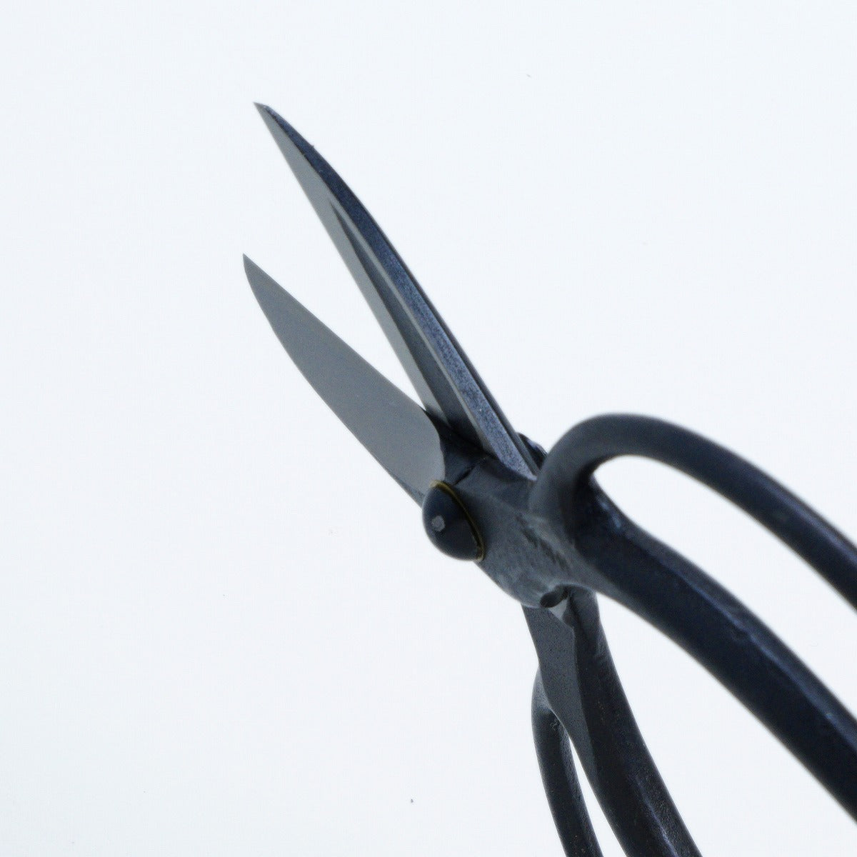 Pruning Shears HASAMI-MASAMUNE Blade Length, Shirogami Steel, For Right-Hander