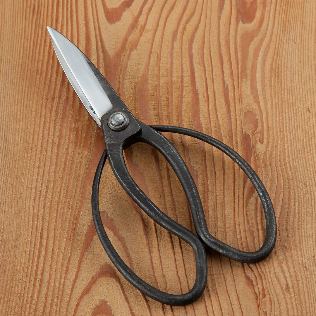 Pruning Shears